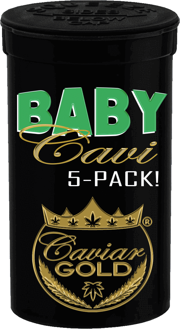 Baby Cavi 5 Pack - Apple Drip