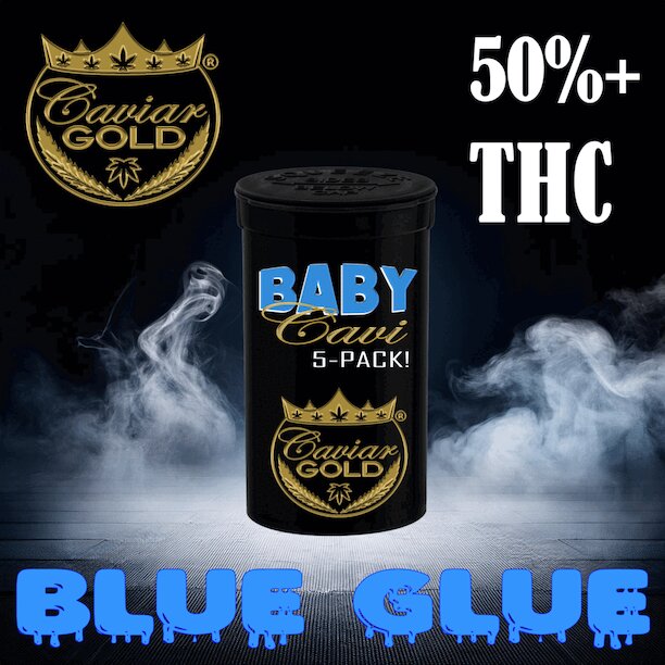 Baby Cavi 5 Pack - Blue Glue