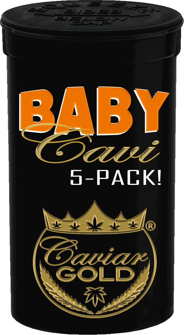 Baby Cavi 5 Pack - CG58