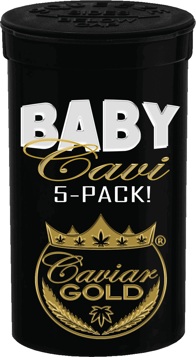 Baby Cavi 5 Pack - Cloud Chaser