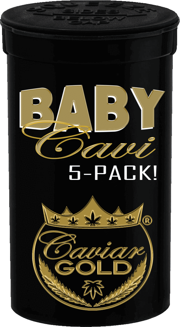 Baby Cavi 5 Pack - King Cavi OG