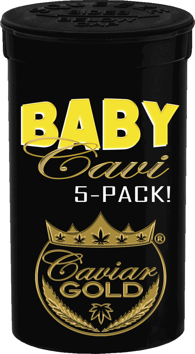 Baby Cavi 5 Pack - Lost Louie