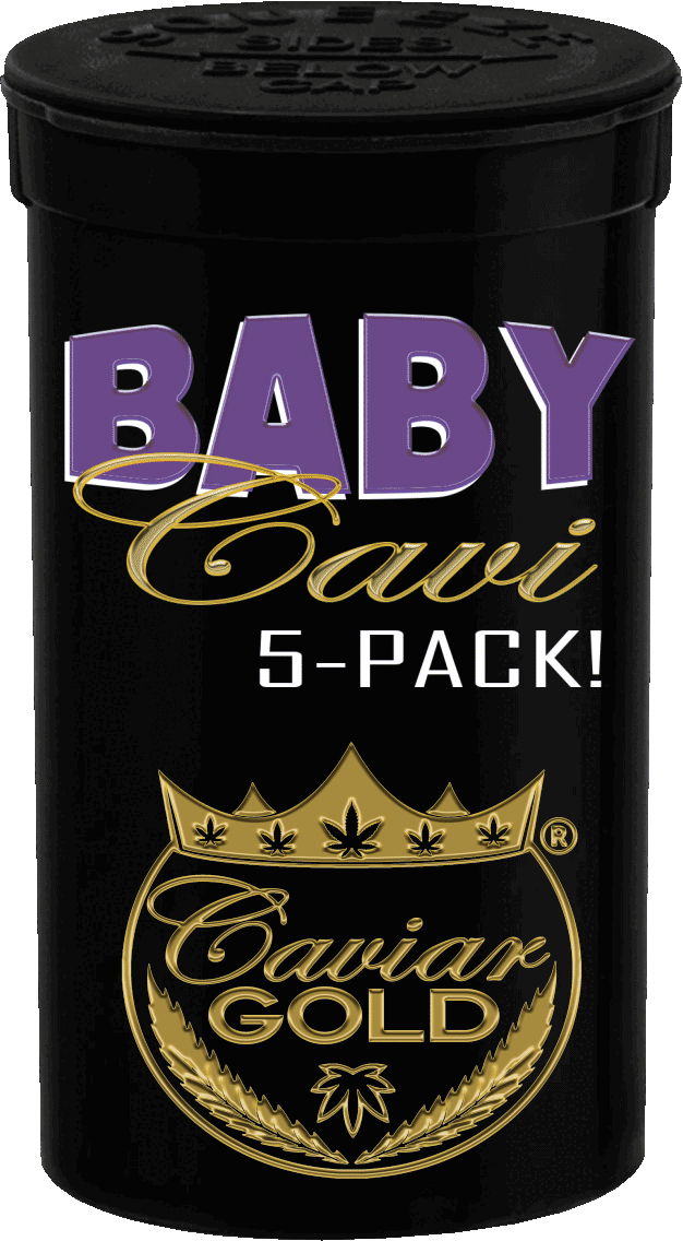 Baby Cavi 5 Pack - Monster Cookies