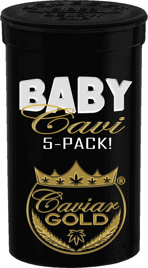 Baby Cavi 5 Pack - Original Gangsta