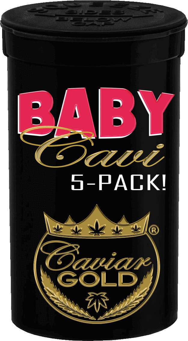 Baby Cavi 5 Pack - Strong Berry